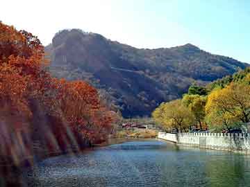 管家婆黑白马报图库，大家乐彩票机